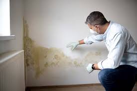 Best Mold Prevention Services  in Wallis, TX